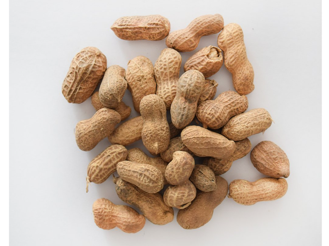 Mani con cascara Premium