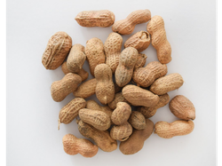 Mani con cascara Premium