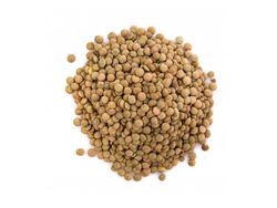 Lenteja x 1kg.