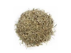 Cola de Caballo