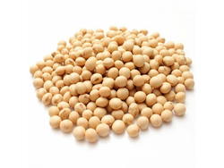 Poroto Soja x 1kg.