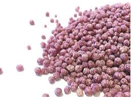 Quinoa POP con Arandano