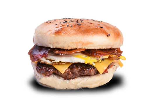 Hamburguesa Especial (*cod 12*)