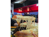 PORCION DE PIZZA AL MOLDE