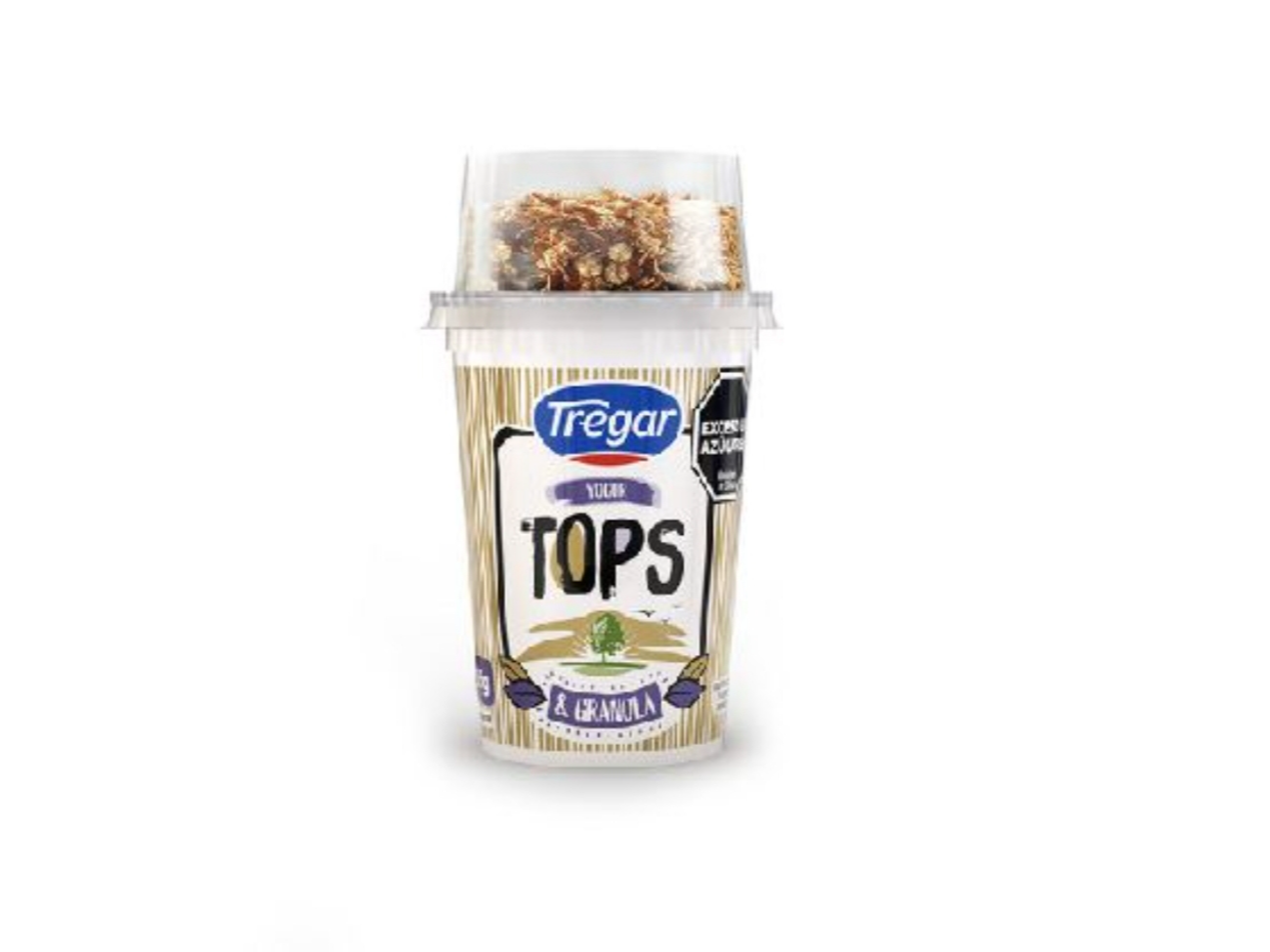 Yogurt Tops Granola