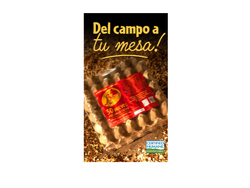 Maple huevos de campo Bonovo