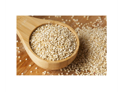 Semilla Quinoa