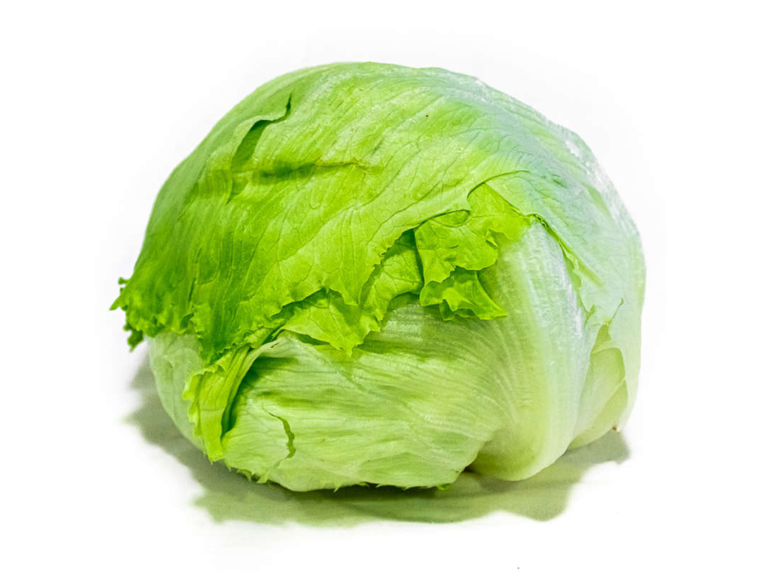 Lechuga Repollada