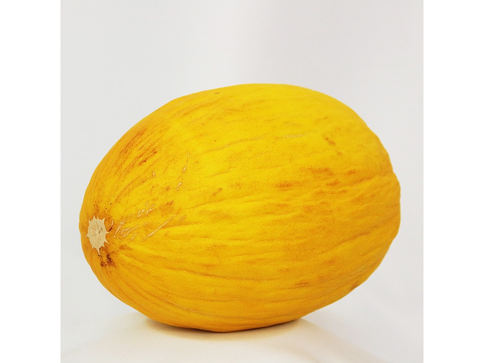 Melon Amarillo