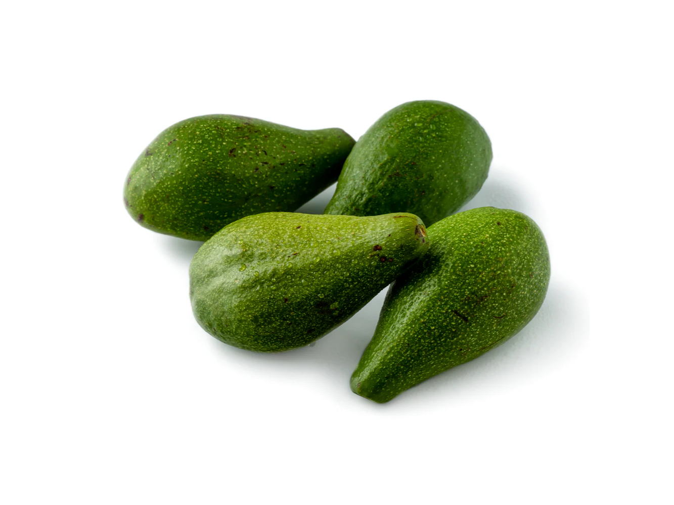 Palta Brazil