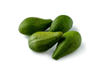 Palta Brazil