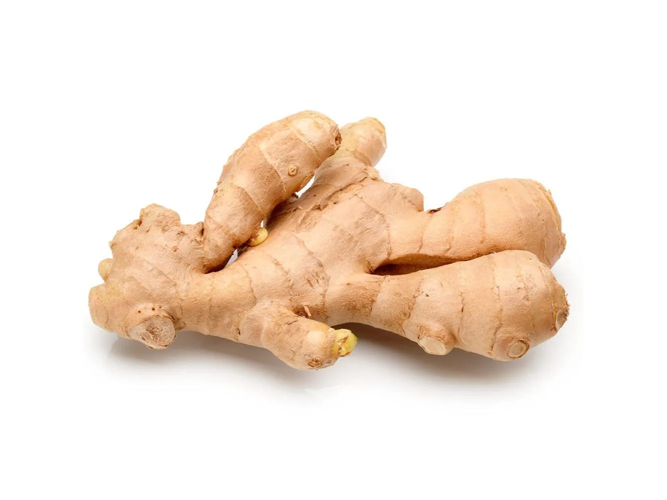 Jengibre