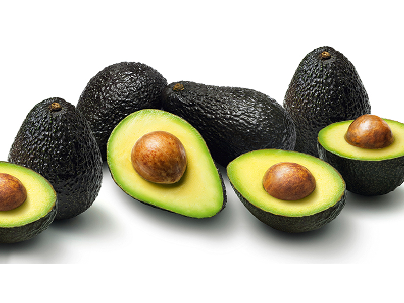 Palta Chilena Hass