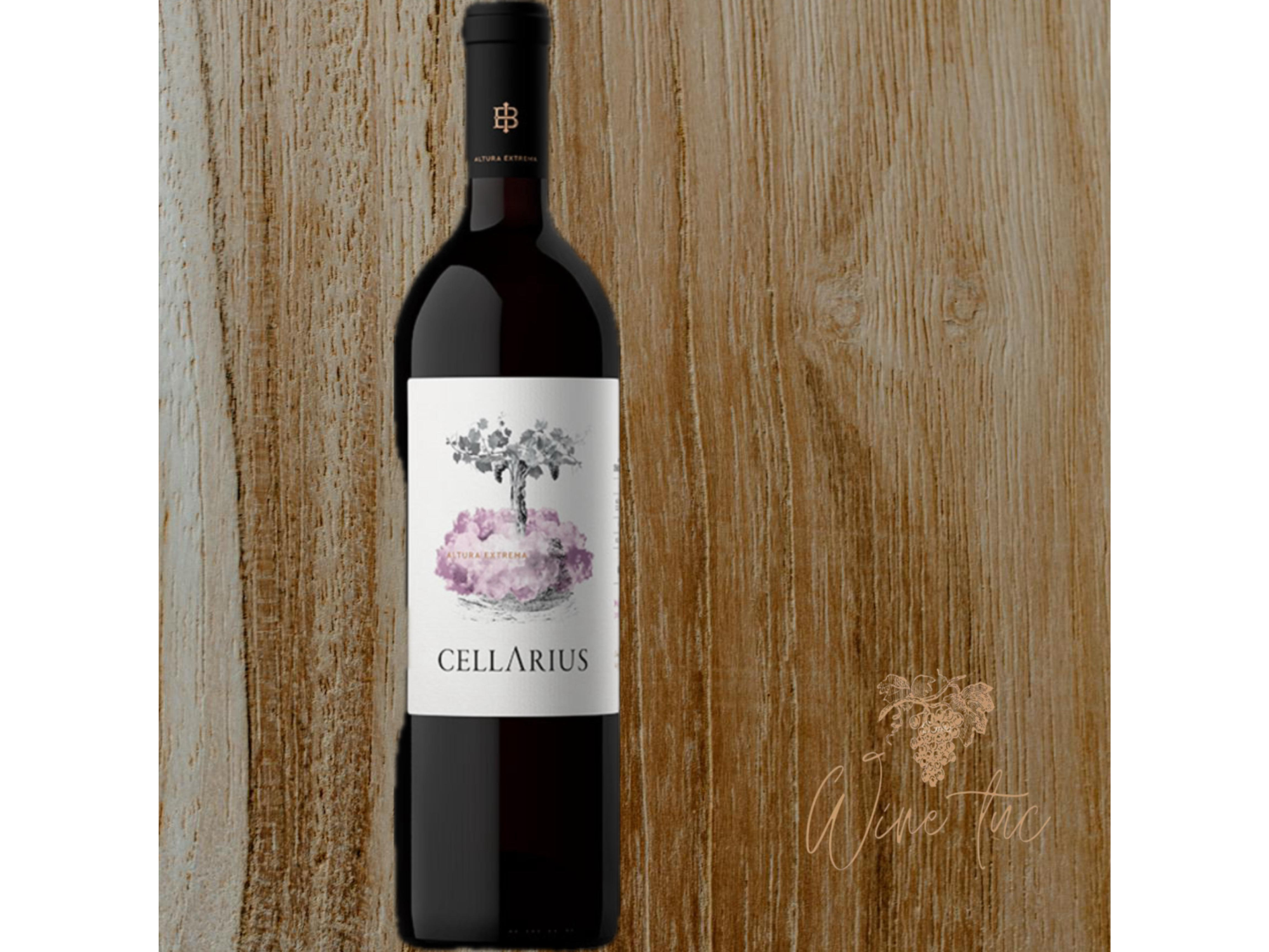 CELLARIUS MALBEC