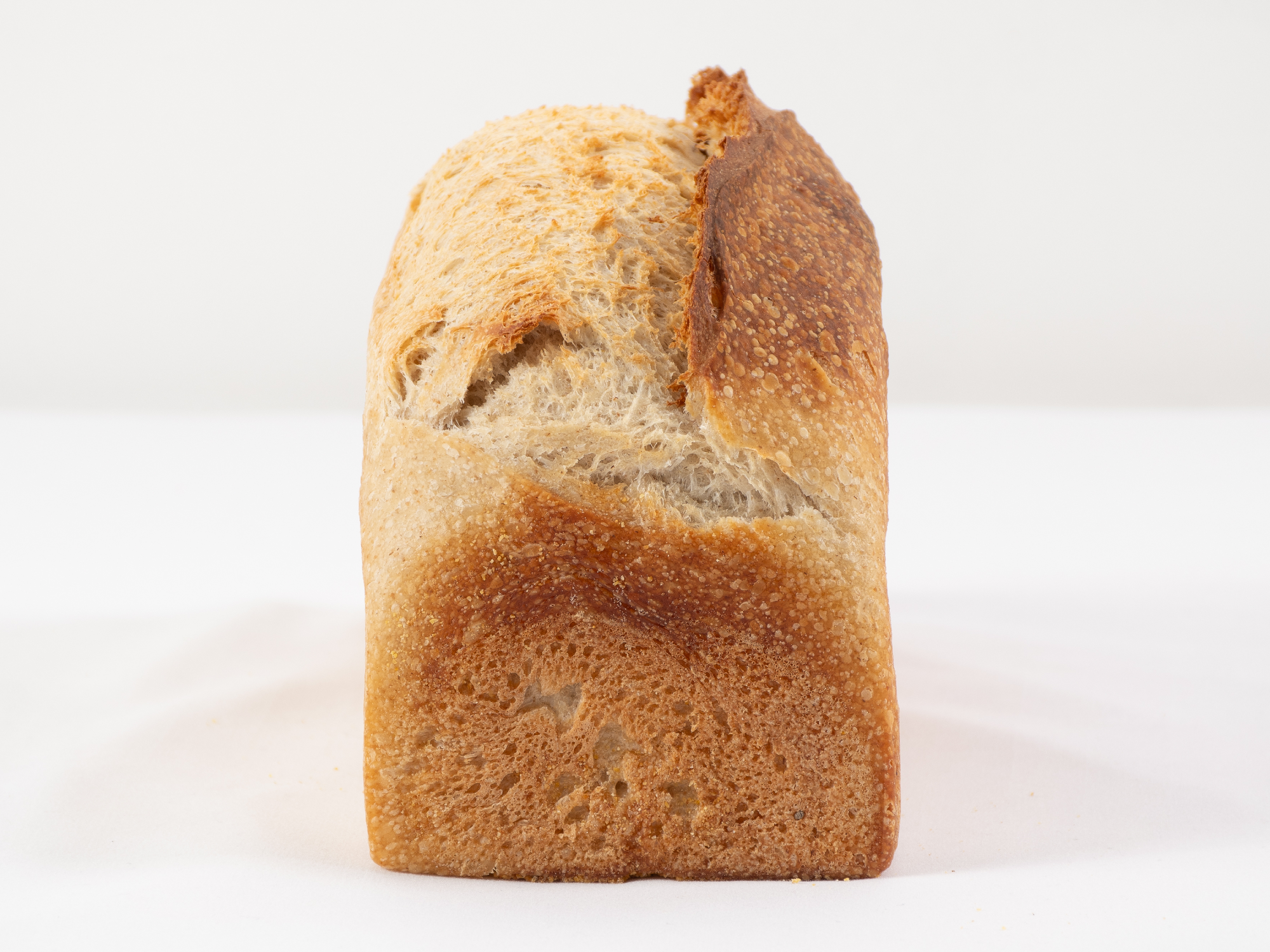 MOLDE BLANCO (800GR) X 8 UNID