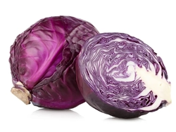 Repollo Morado