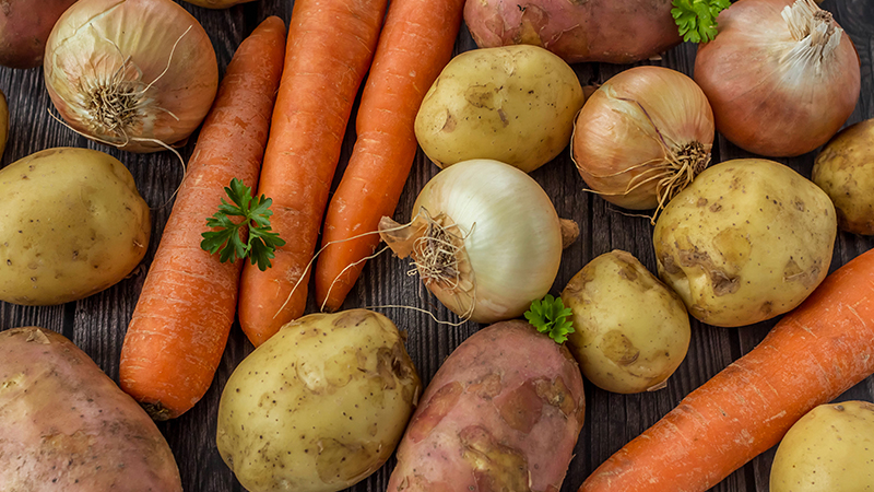 RAÍCES Y TUBÉRCULOS