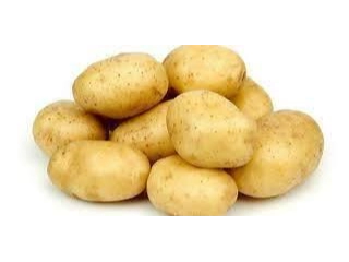 Papa blanca