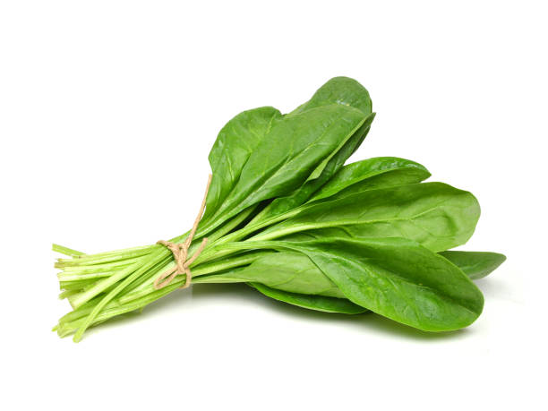 Espinaca