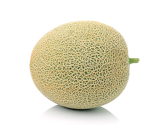 Melon
