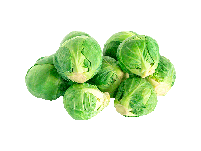 Repollito de Bruselas