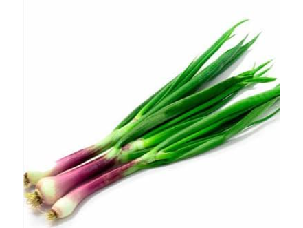 Cebolla de verdeo