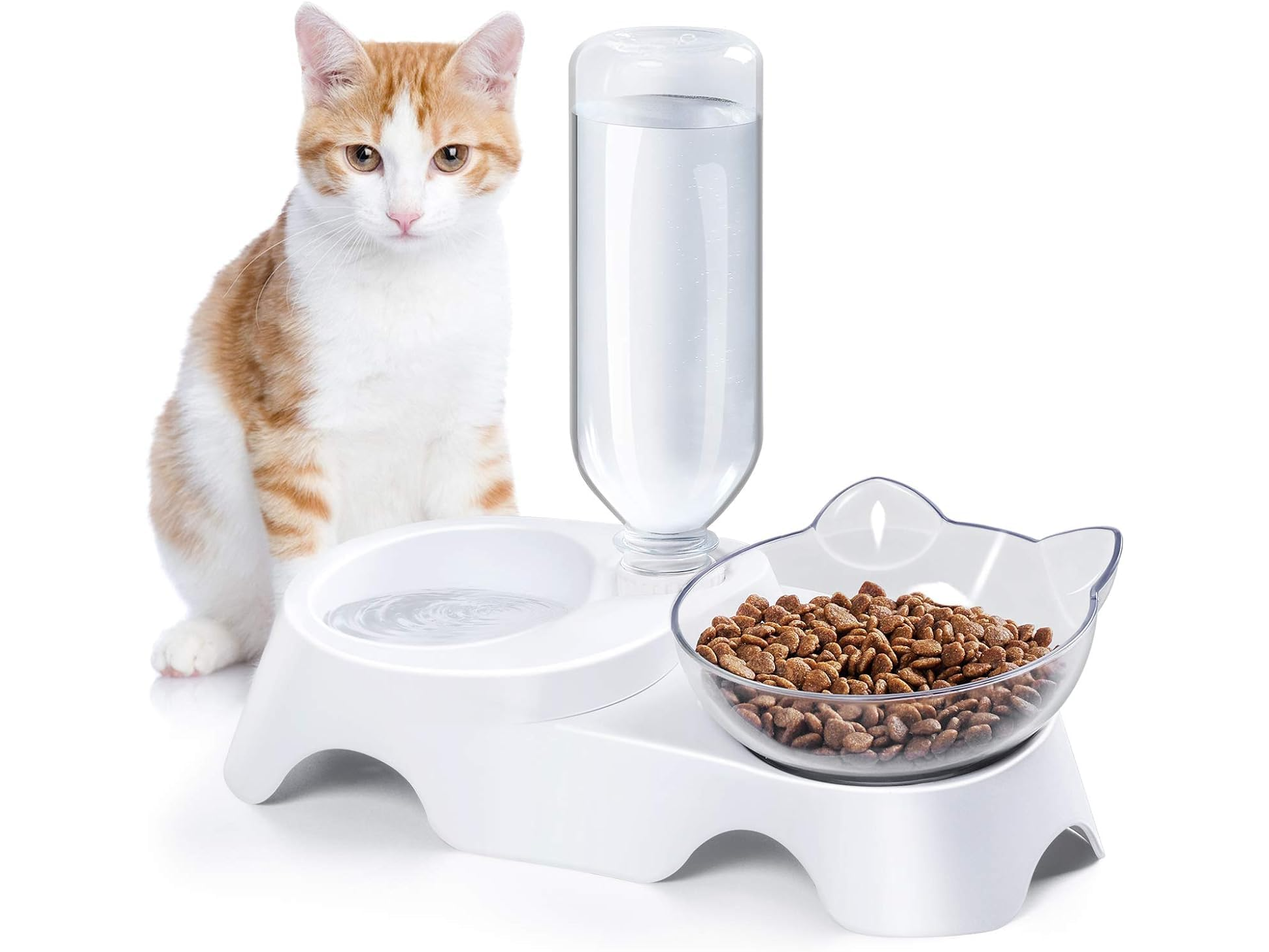 Comedero Con Dispenser De Agua