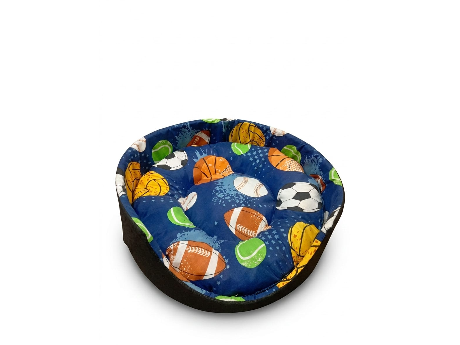 Moises (tela grande)