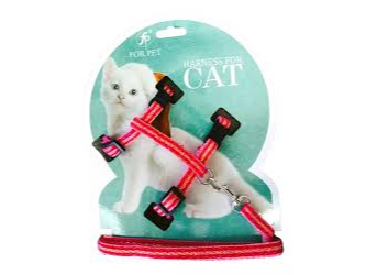 PRETAL PARA GATO