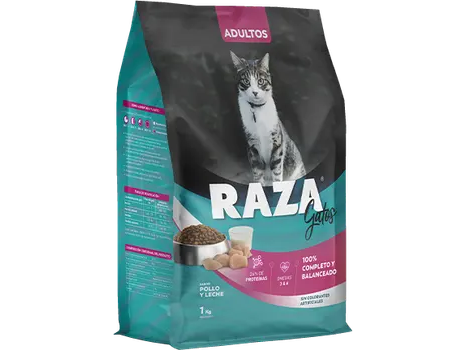 Raza Gato Adulto