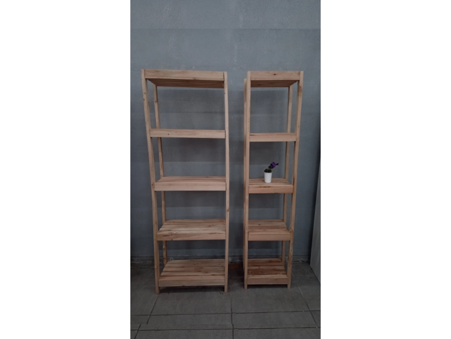 Biblioteca eucalipto