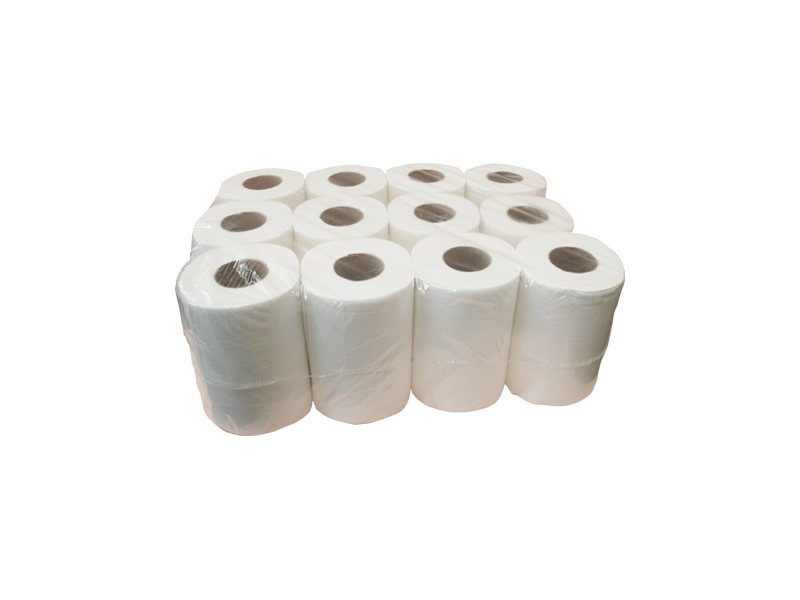 PAPEL HIGIENICO X 24 UNIDADES X 80 MT BOLSON