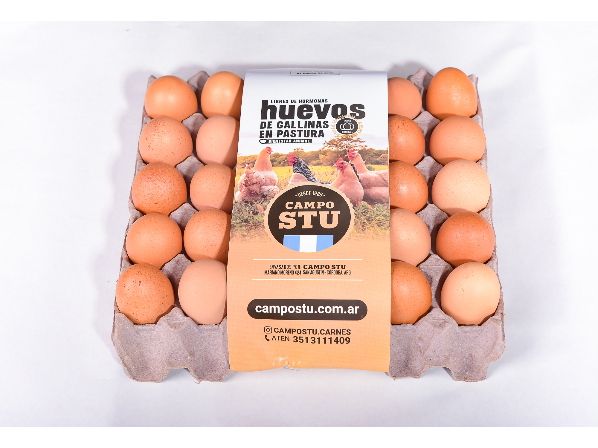 HUEVOS GRANDES DE CAMPO PASTORILES STU