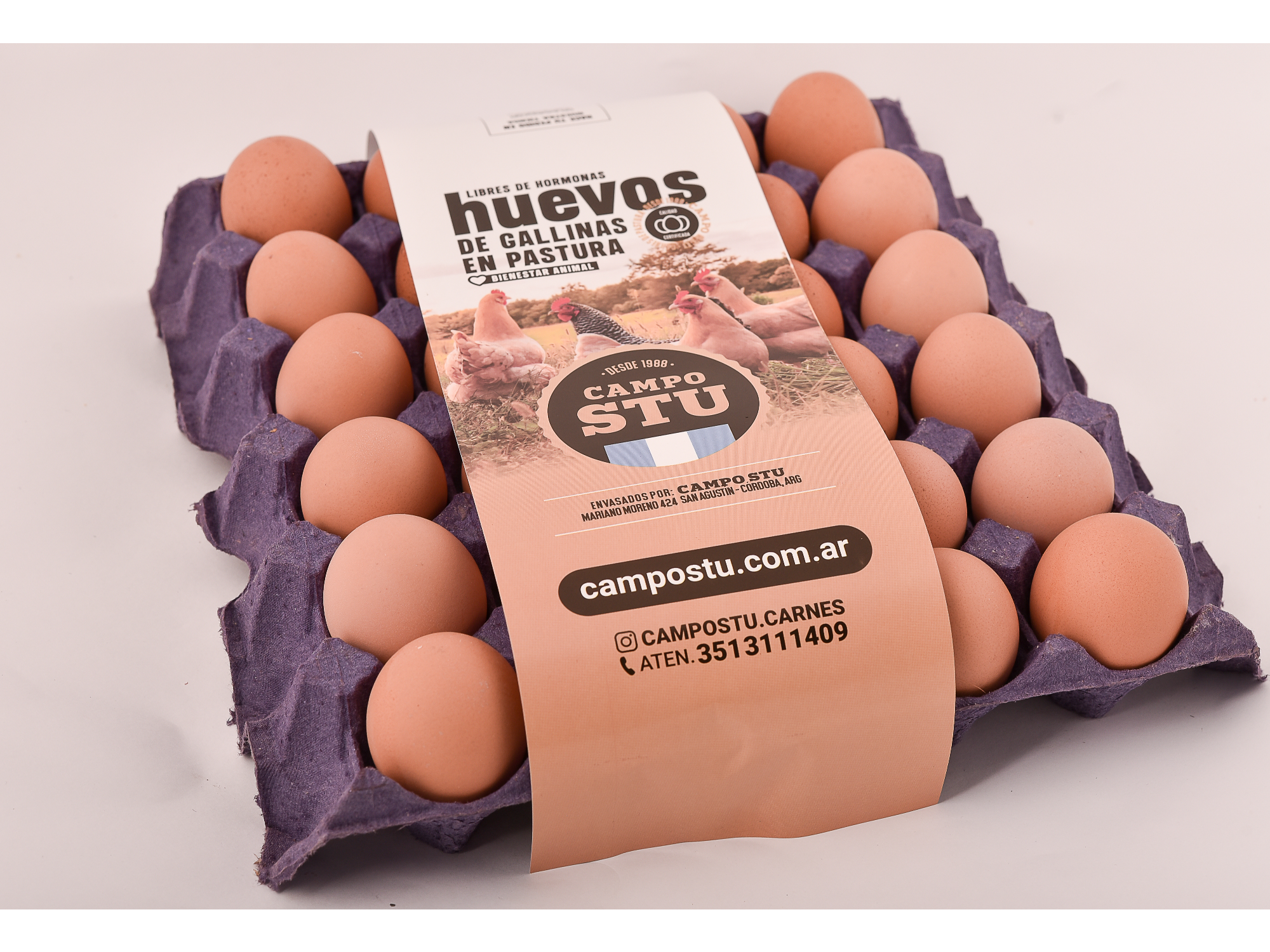 HUEVOS MEDIANOS CAMPO STU