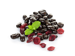 Arandanos con Chocolate