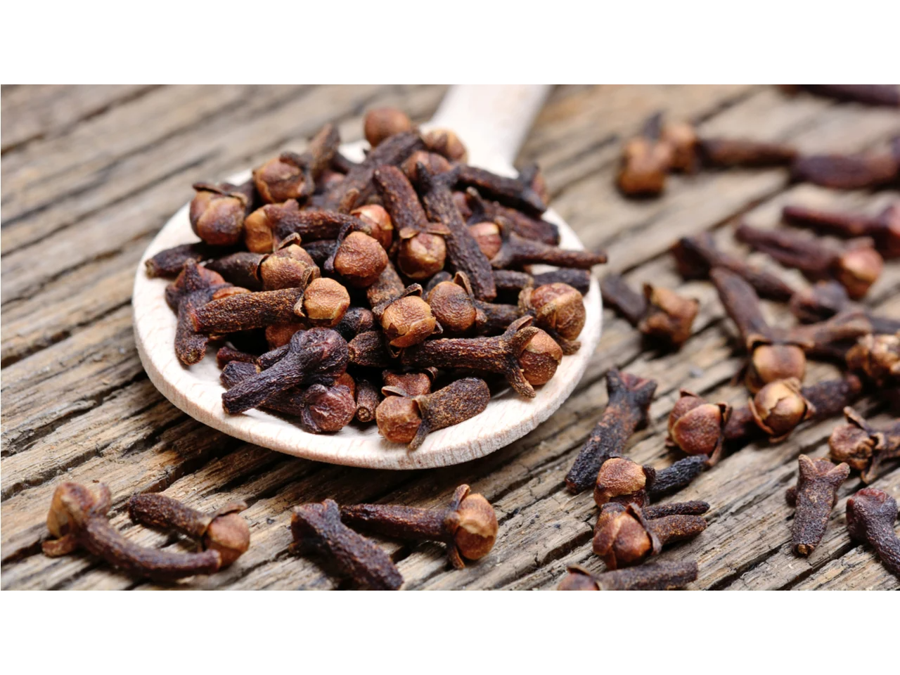Clavo de Olor