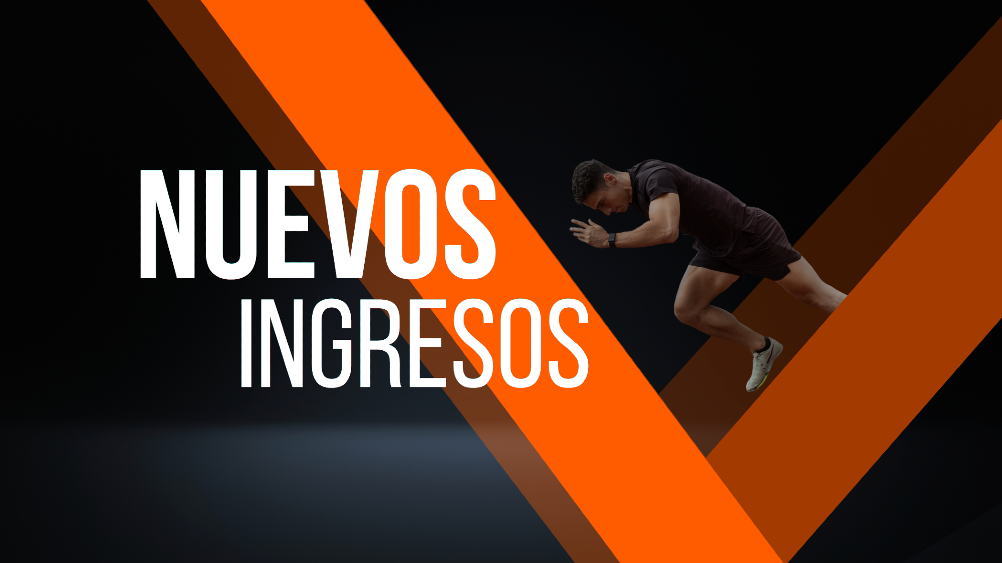NUEVOS INGRESOS