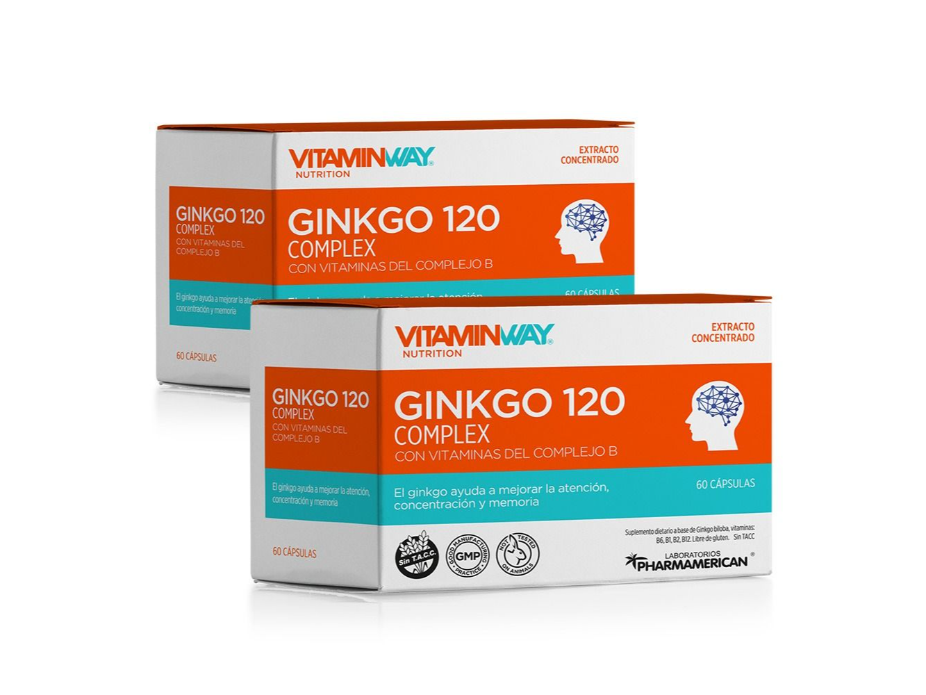 2x1 Ginkgo 120 Complex CAP x60