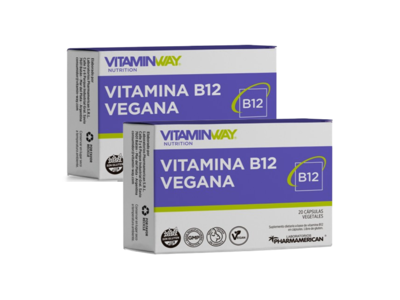 2x1 VITAMINA B12 VEGANA x20