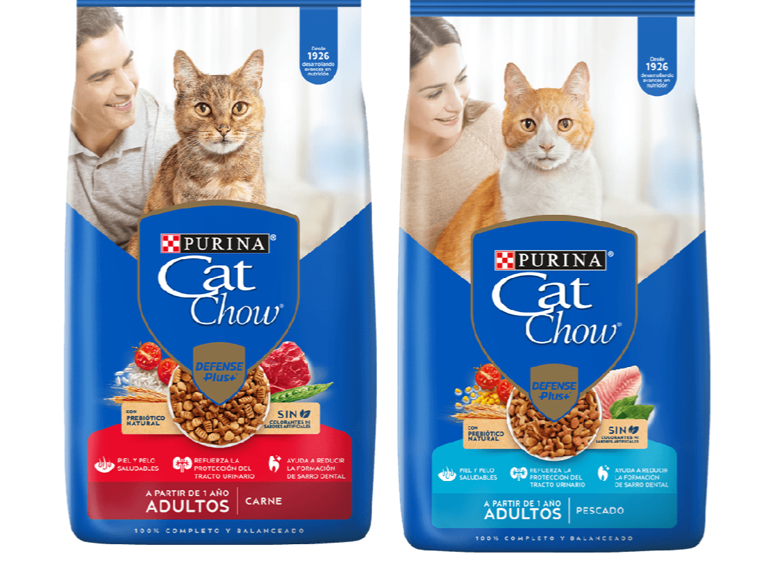 Cat chow adulto