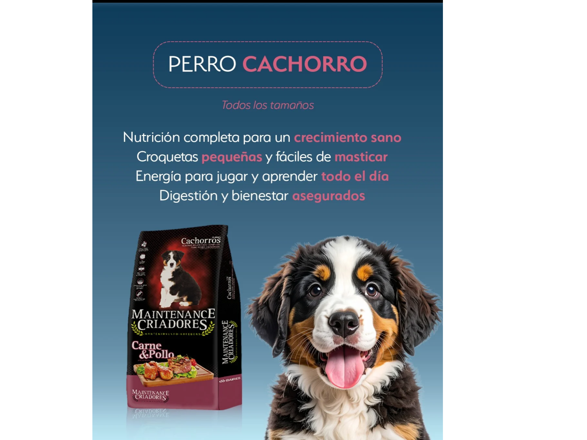 Maintenance cachorro