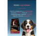 Maintenance cachorro