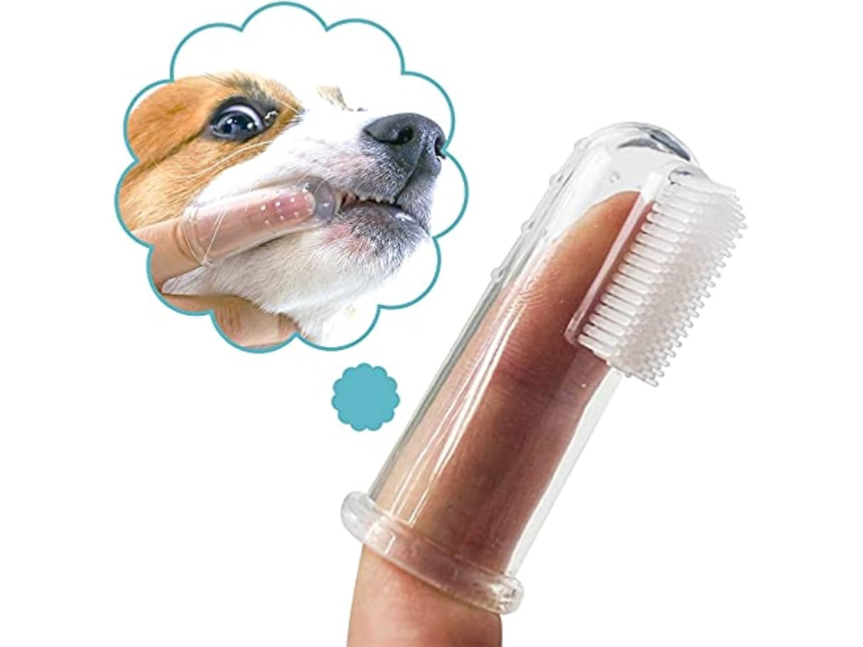 Cepillo de dientes