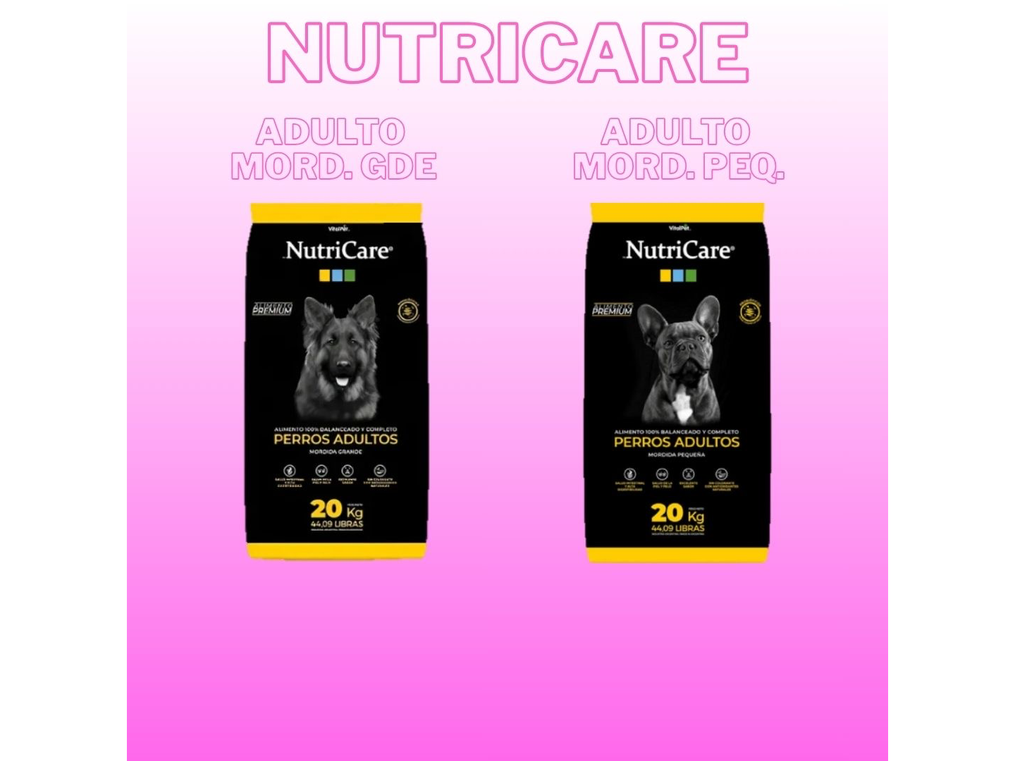 Nutricare adulto