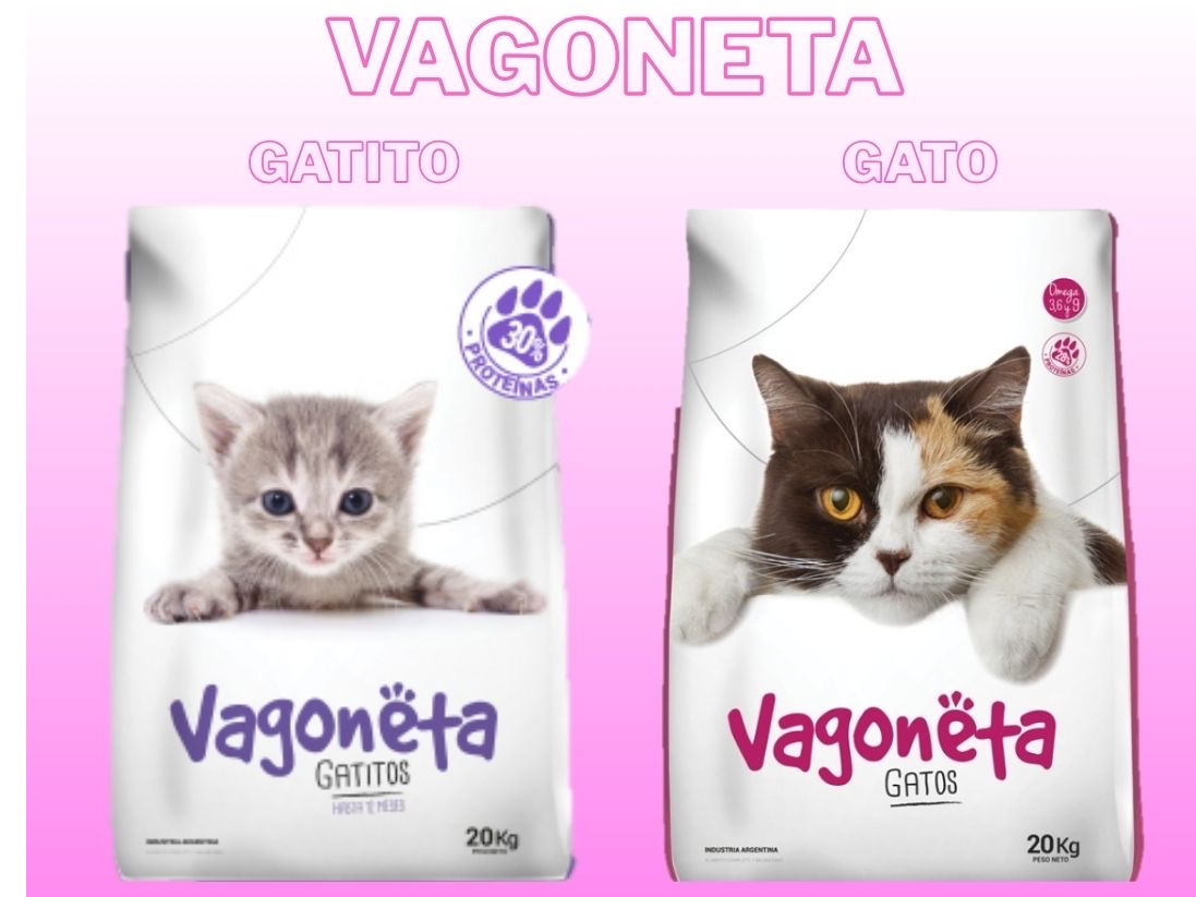 Vagoneta gatito