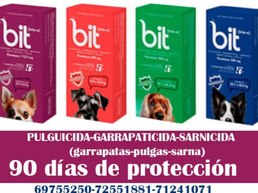 Bit trío pulgas y garrapatas