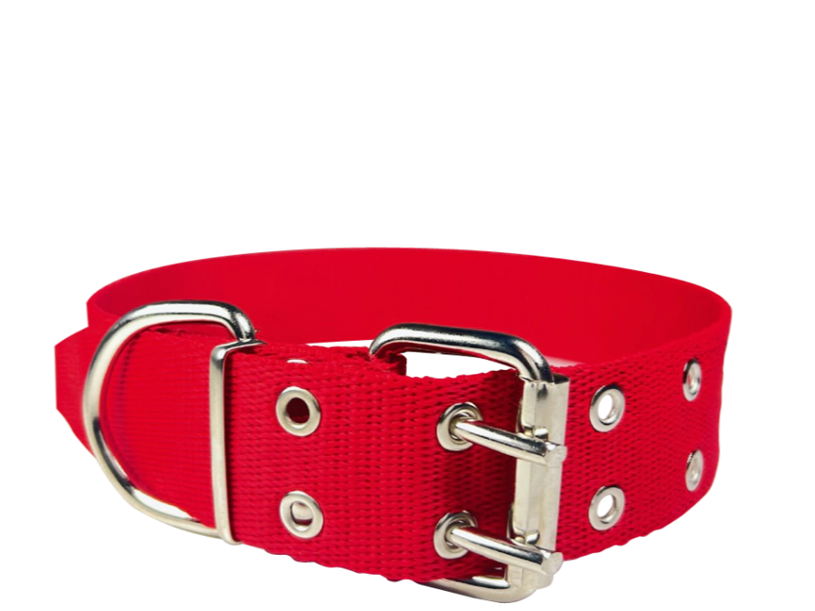 Collar doble hebilla