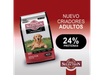 Dog selection adulto