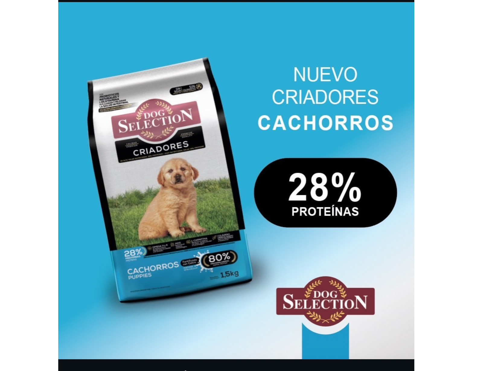 Dog selection cachorro x 21 kg