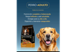 Maintenance adulto